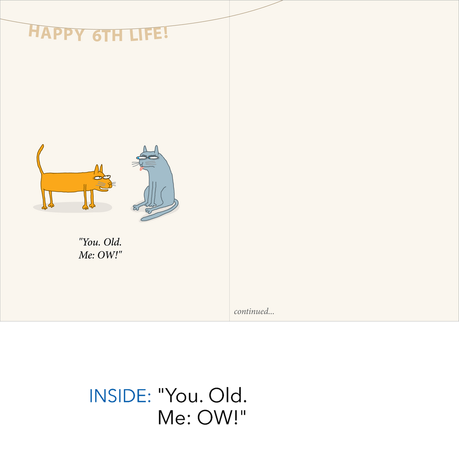 1469 6th Life