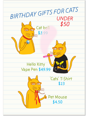 1144 Birthday Gifts For Cats