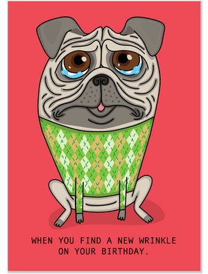 872 Pug's New Wrinkle (Birthday Card)